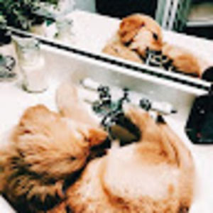 Meet your Posher, Mae